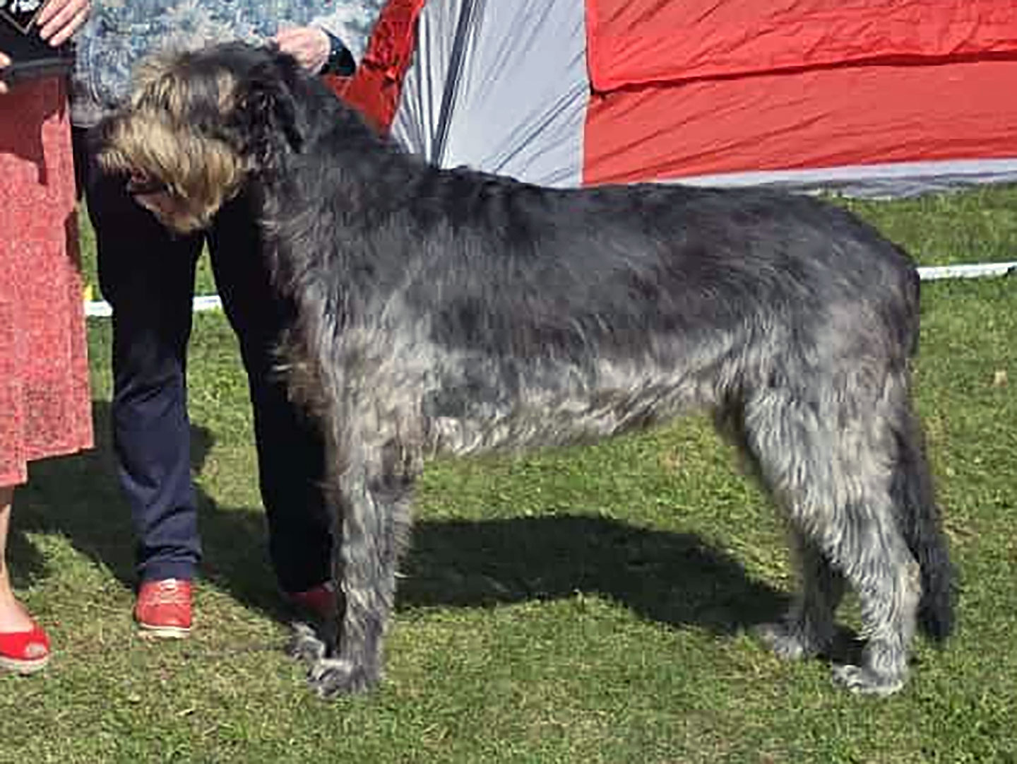 Piper’s Providence Of Lough Ree