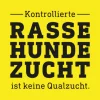 mein gesunder Rassehund