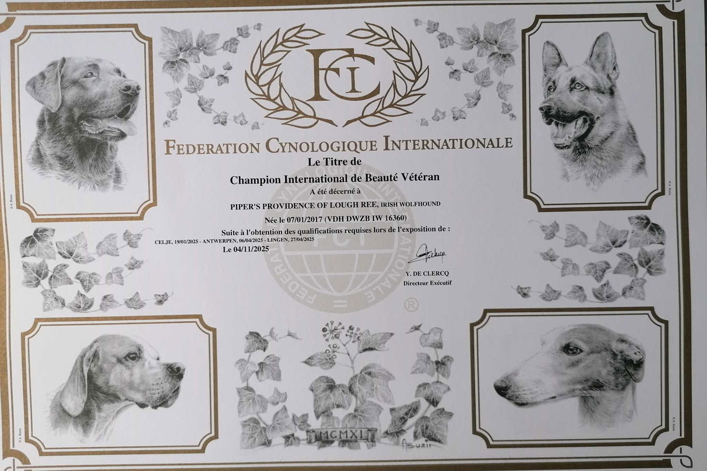 Titel "Champion International de Beauté Vétéran" erhalten