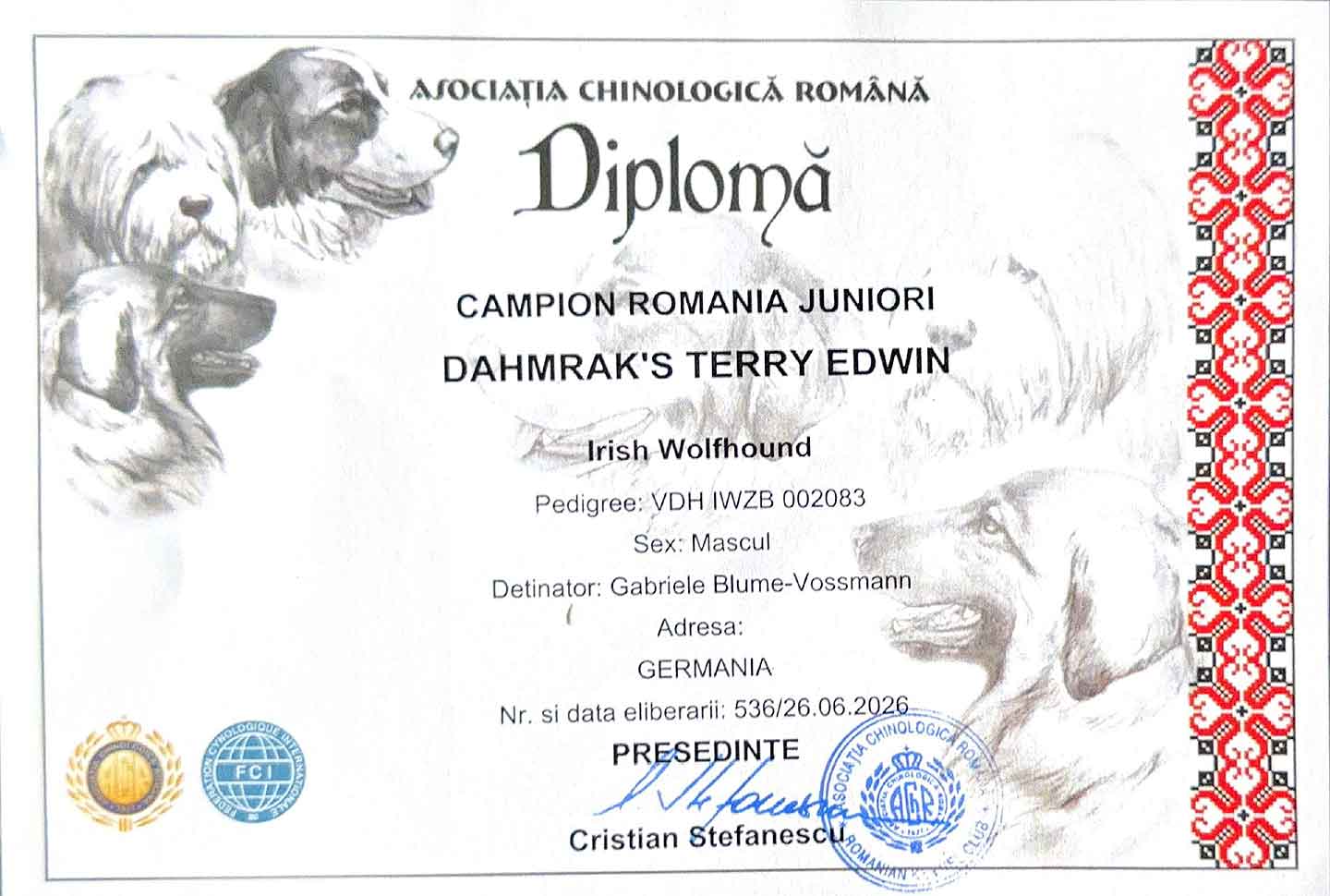 Titel "rumänischer Jugendchampion" erhalten