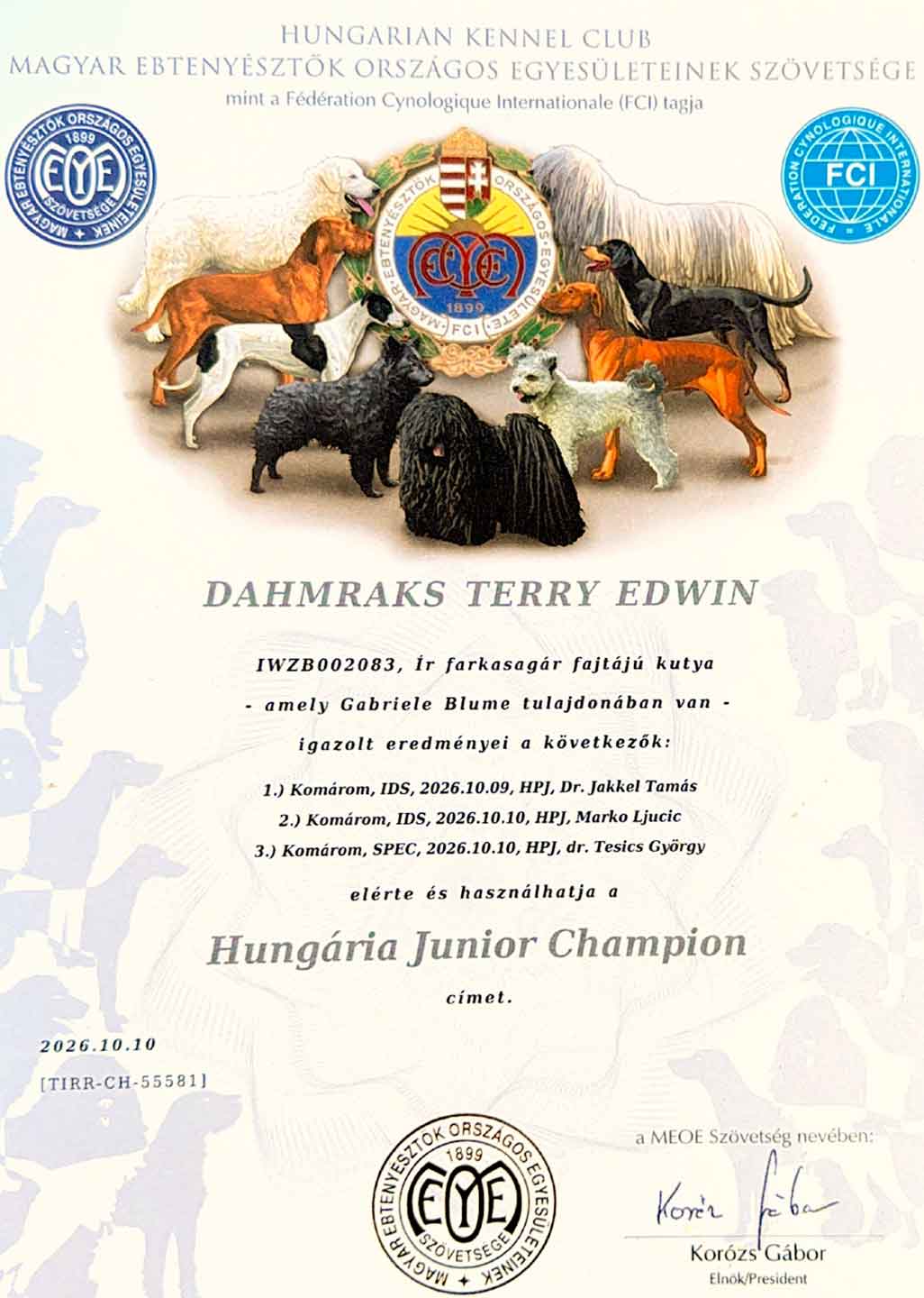 Titel "ungarischer Jugendchampion" erhalten