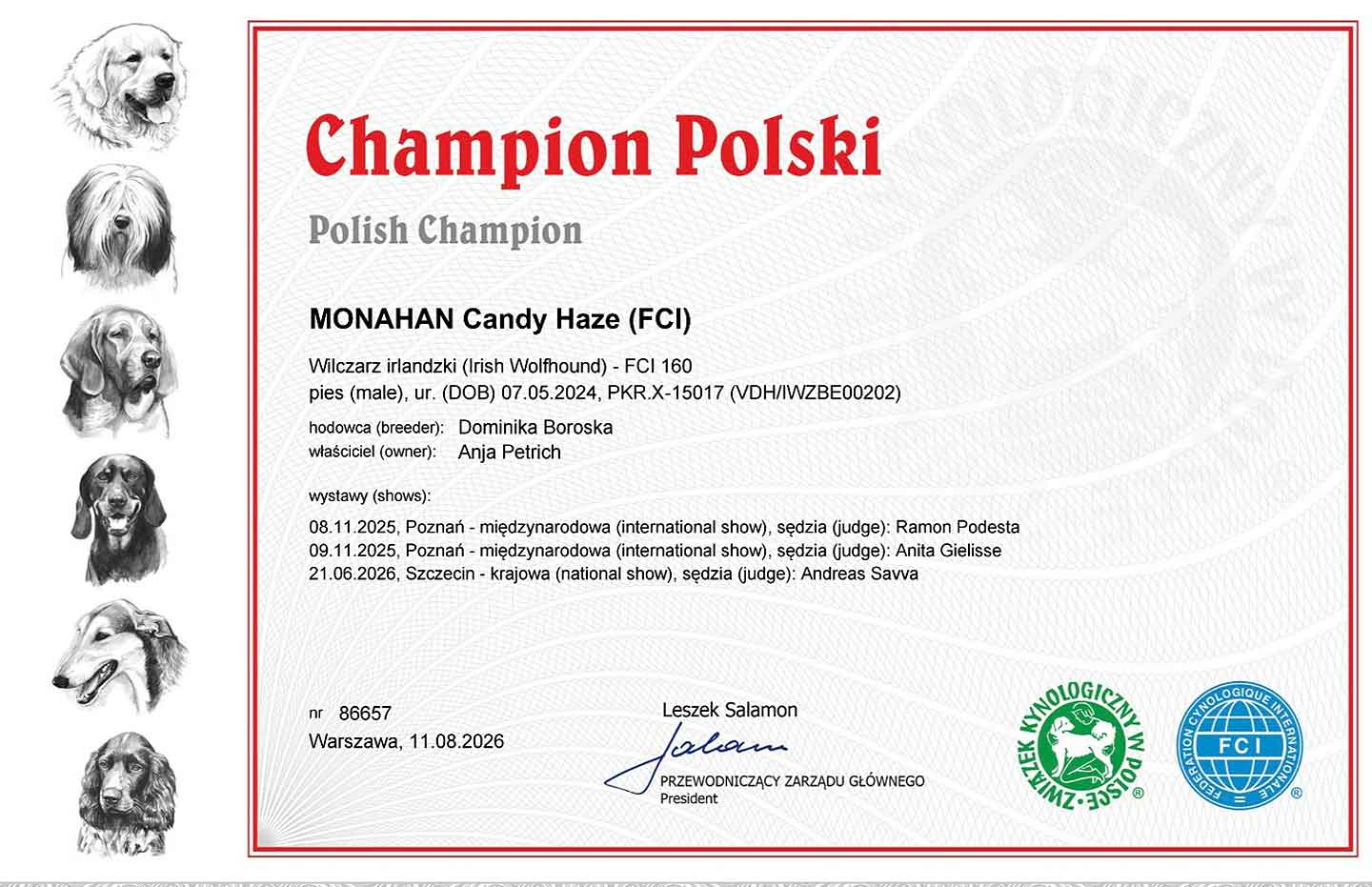 polnischer Champion Monahan Candy Haze