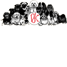 Weihnachtsausstellung Nidda