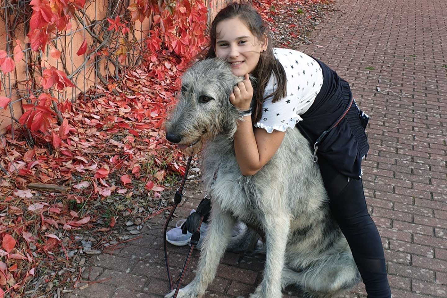 Irish Wolfhound Club e.V.