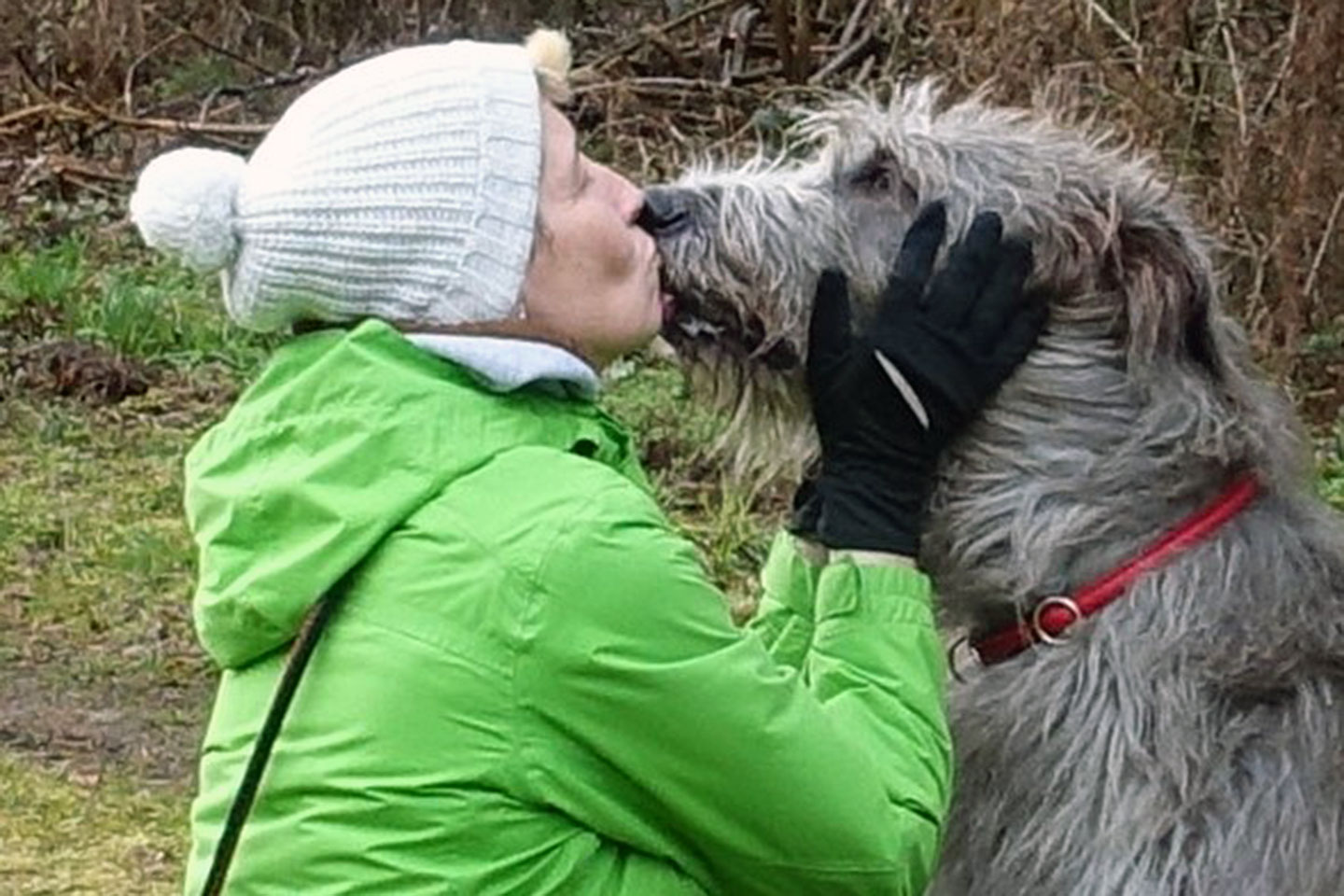 Irish Wolfhound Club e.V.
