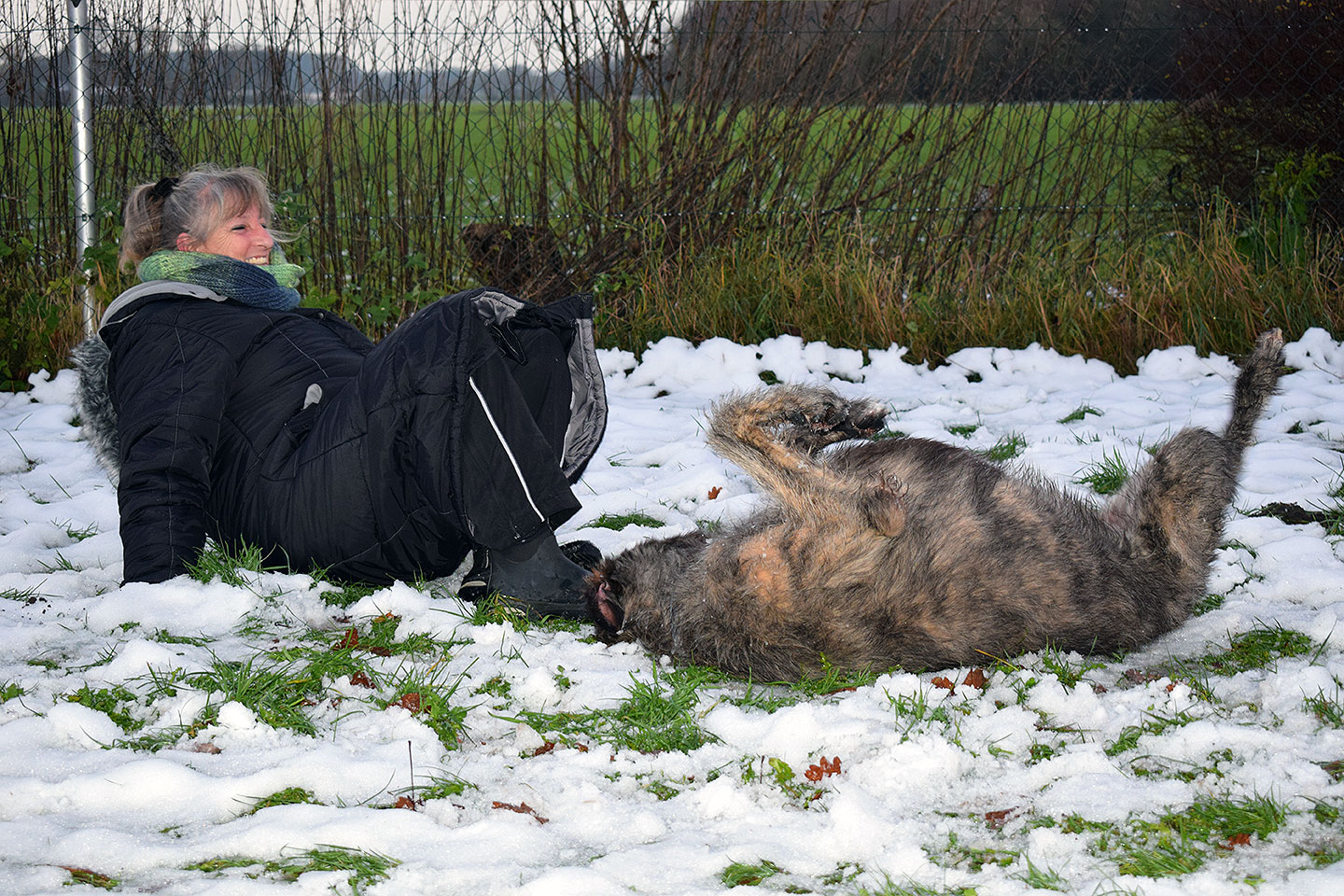 Irish Wolfhound Club e.V.